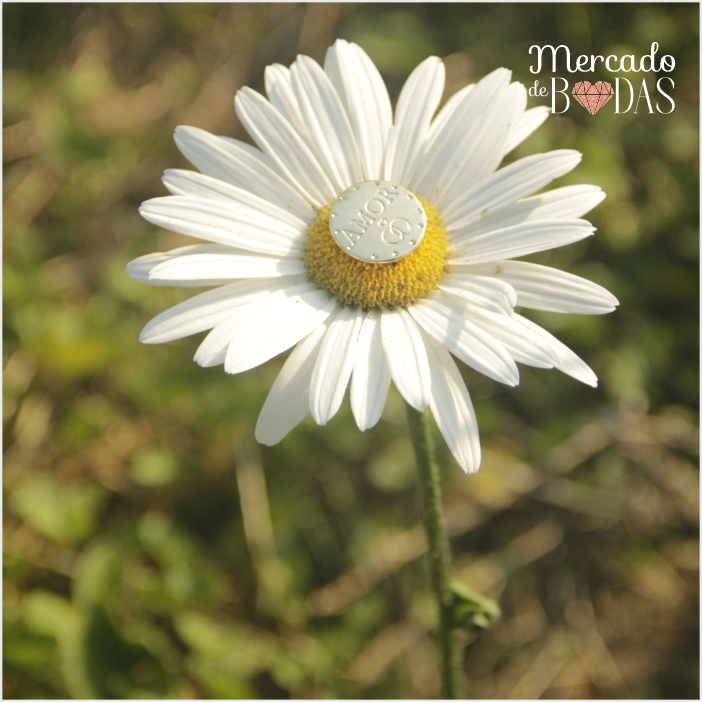 ARRAS MATRIMONIALES 4 – copia